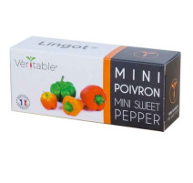 Lingot® mini poivron, Véritable