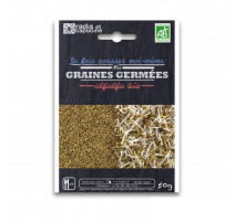 Graines à germer alfalfa bio, Radis et capucine