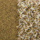 Graines à germer alfalfa bio, Radis et capucine
