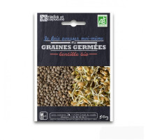 Graines à germer lentille bio, Radis et capucine