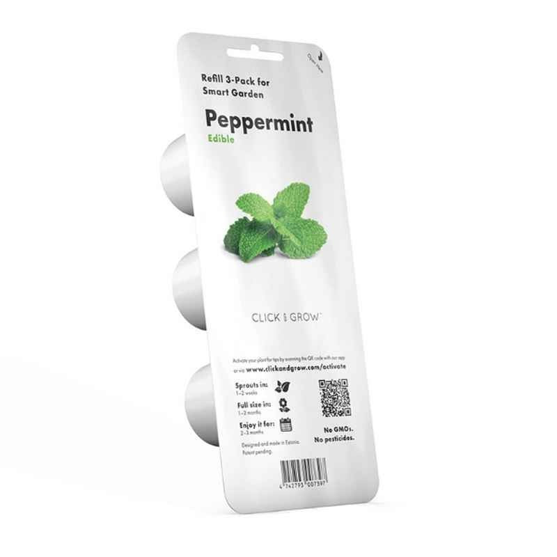 EMSA WERKE - Lot de 3 capsules SMART SOIL, Emsa Menthe - EMSA WERKE