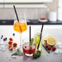 Lot de 4 pailles en verre, Gefu