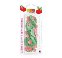 Décos azymes Houx, ScrapCooking