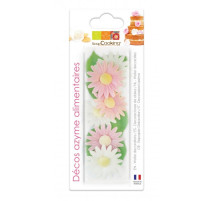 Décos azymes 6 marguerites + feuilles, ScrapCooking