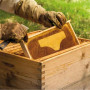 Miel et Propolis de France, Hédène
