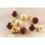 Moule chocolat 3D Tartufino, Silikomart