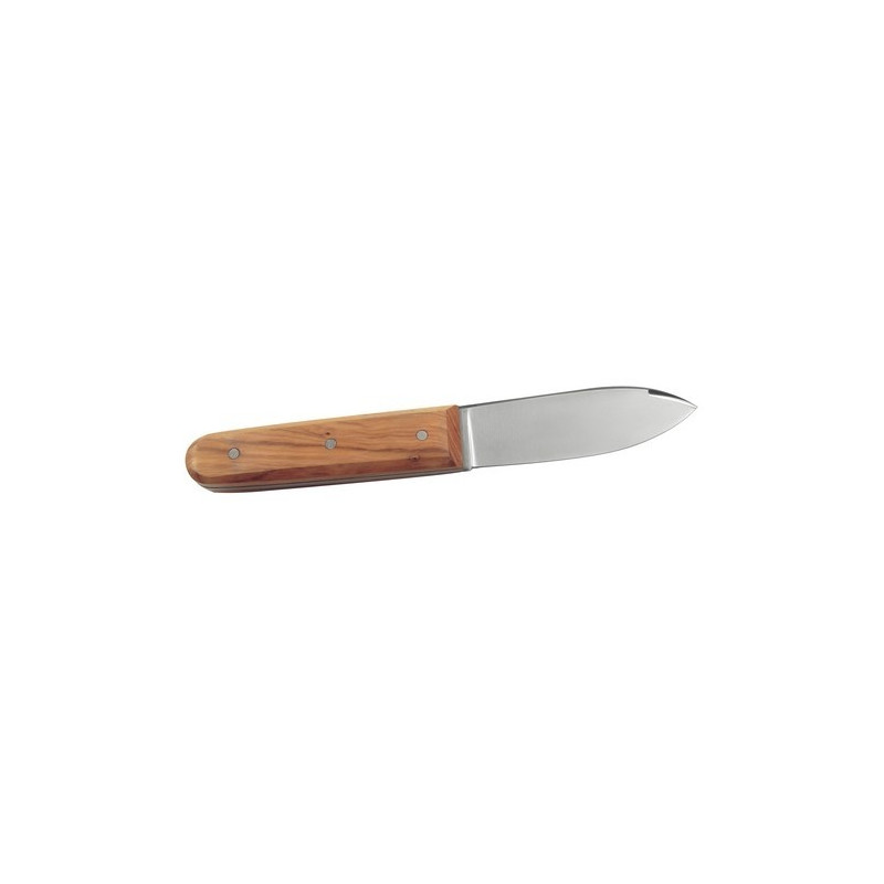 Premium Pamplemousse Couteau 22 cm Acier Inoxydable Pamplemousse couteau Garnierer