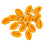 Le fruit à pâtisser Passion, Valrhona