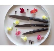 Couteau Japonais Quotidien Michel Bras, Kai