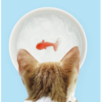Bol en céramique avec poisson rouge 3D, Suckuk