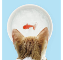 Bol en céramique avec poisson rouge 3D, Suckuk
