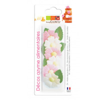 Décos azymes 6 églantines + 6 feuilles vertes, ScrapCooking