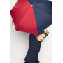 Micro-parapluie, Anatole
