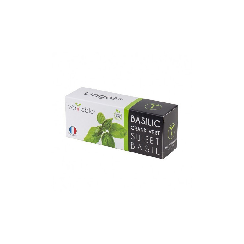 Lingot® basilic grand vert BIO, Véritable