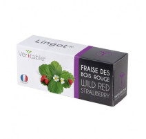 Lingot® Fraise des bois rouge, Véritable