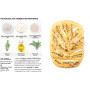 Simplissime pour faire son pain maison, Hachette cuisine