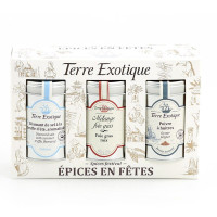 Coffret Épices en fêtes, Terre Exotique