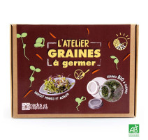 Germoir en terre cuite à 3 niveaux, germination facile et naturelle - Ah!  Table!