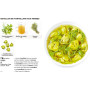 Simplissime Recettes italiennes les + faciles du monde, Hachette cuisine