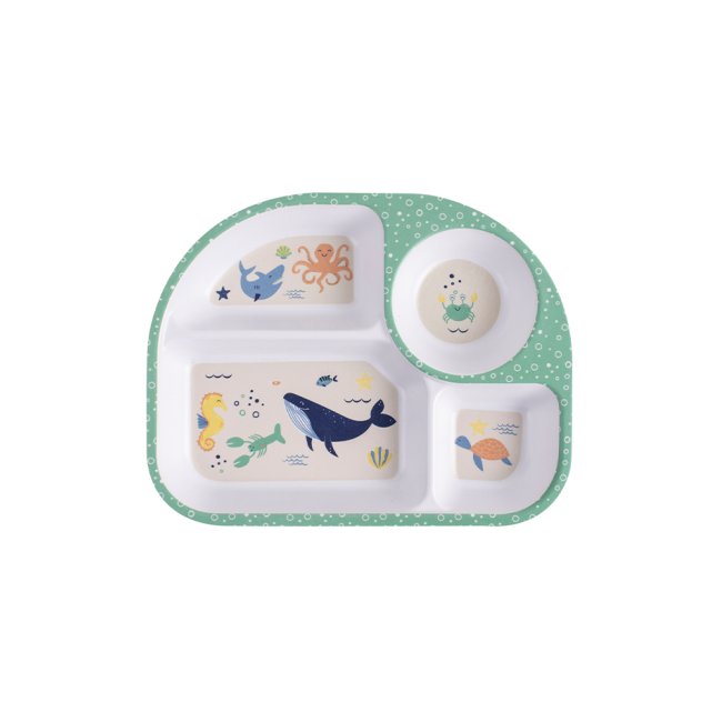 Assiette compartimentée, Ladelle