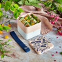 MB Square Graphic Ginkgo Made in France, monbento