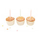 25 caissettes de cuisson en papier, Mirontaine