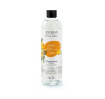 Recharge bouquet parfumé 250 ml Ambre et Baume, Esteban