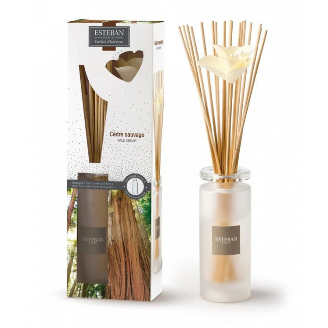 Bouquet parfumé cèdre sauvage, Esteban