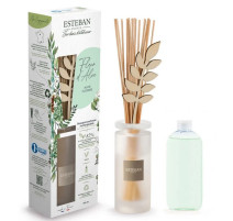 Bouquet parfumé Fleur d'Aloé, Esteban
