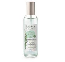 Vaporisateur 100 ml Fleur d'Aloé, Esteban