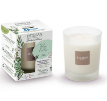 Bougie parfumée 180 gr Fleur d'Aloé, Esteban