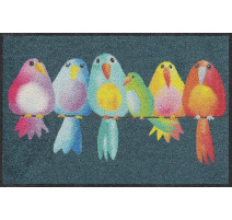 Tapis 50x75cm Rainbow Birds, Salonloewe Efia