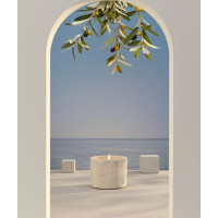 Bougie extérieur citronnelle béton 180 gr, Bougie la Française