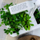 Potager Classic, Véritable