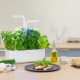 Potager Classic, Véritable