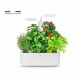 Potager Classic, Véritable