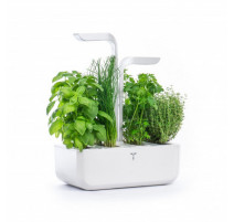 Potager Classic, Véritable