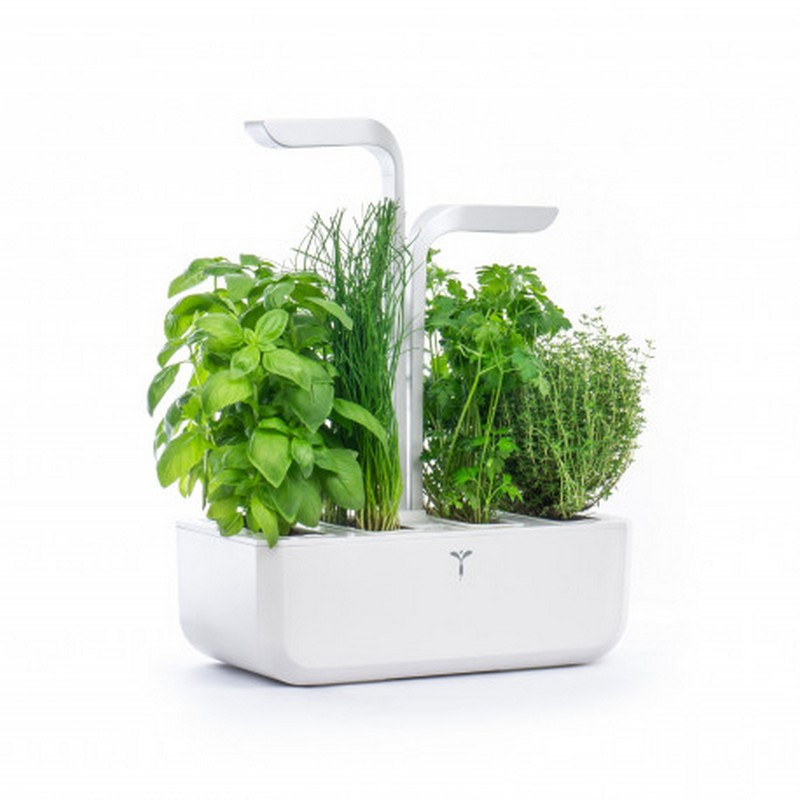 Potager Classic, Véritable