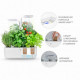 Potager Classic, Véritable