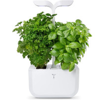 Potager Exky Classic, Véritable