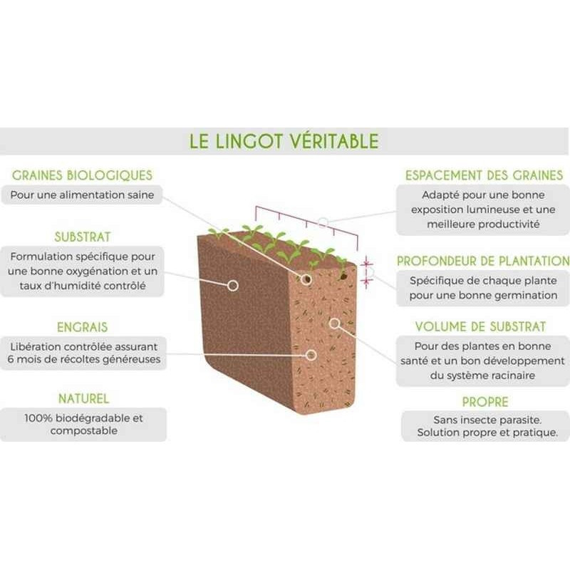 Lingot® Ciboulette BIO - Recharge prête à l'emploi Véritable®