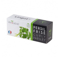 Lingot® Persil Frisé BIO, Véritable