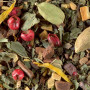 Tisane de Noêl, Damman Frères