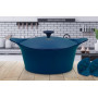 L'Incroyable Cocotte Bleu Myrtille, Cookut