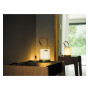 Diffuseur brume  de parfum Edition Lampion, Esteban
