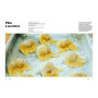 Bouillons & Bowls, Hachette