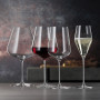 Coffret de 2 verres à Bourgogne Définition, Spiegelau