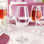 6 verres 21.5 cl Viticole, Arcoroc