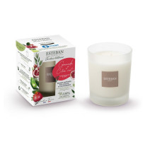 Bougie parfumée 180 gr Grenade et Citron Vert, Esteban