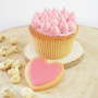 Colorant alimentaire naturel en poudre Blush, Scrapcooking